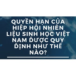 Quyền hạn của Hiệp hội Nhiên liệu sinh học Việt Nam được quy định như thế nào?