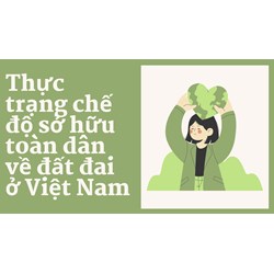 Thực trạng chế độ sở hữu toàn dân về đất đai ở Việt Nam ?