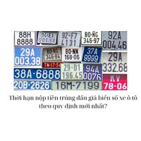 Thời hạn nộp tiền trúng đấu giá biển số xe ô tô theo quy định mới nhất?