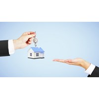 Mẫu đơn xin tự nguyện trả lại đất cho Nhà nước chuẩn nhất 2024