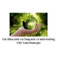 Các Điều ước và Công ước về môi trường Việt Nam tham gia
