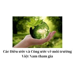 Các Điều ước và Công ước về môi trường Việt Nam tham gia