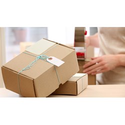 Những đơn vị trực thuộc Cục Bưu điện Trung ương theo quy định?