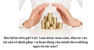 Bảo hiểm tiền gửi Việt Nam được mua sắm, đầu tư vào tài sản cố định phục vụ hoạt động của mình theo những nguyên tắc nào?