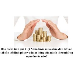 Bảo hiểm tiền gửi Việt Nam được mua sắm, đầu tư vào tài sản cố định phục vụ hoạt động của mình theo những nguyên tắc nào?