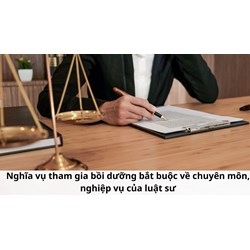 Nghĩa vụ tham gia bồi dưỡng bắt buộc về chuyên môn, nghiệp vụ của luật sư