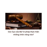 Các Cục của Bộ Tư pháp thực hiện những chức năng nào?