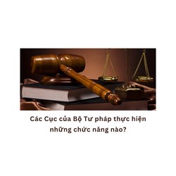 Các Cục của Bộ Tư pháp thực hiện những chức năng nào?