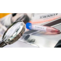 Quyền của Cục Biển và Hải đảo Việt Nam trong công tác điều tra môi trường biển đảo?