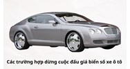 Các trường hợp được dừng cuộc đấu giá biển số xe ô tô?