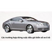 Các trường hợp được dừng cuộc đấu giá biển số xe ô tô?