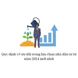 Quy định về ưu đãi trong lựa chọn nhà đầu tư từ năm 2024 mới nhất