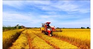 Điều kiện thành lập Quỹ Hỗ trợ nông dân mới nhất?