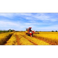Điều kiện thành lập Quỹ Hỗ trợ nông dân mới nhất?