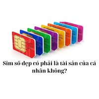 Sim số đẹp có phải là tài sản của cá nhân không?