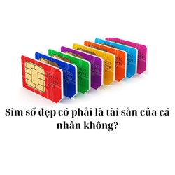 Sim số đẹp có phải là tài sản của cá nhân không?
