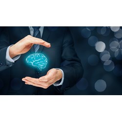 Quyền tổ chức các khóa đào tạo về sở hữu trí tuệ của Cục Sở hữu Trí tuệ?
