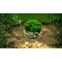 Lãnh đạo Văn phòng Bộ Tài nguyên và Môi trường gồm những ai?