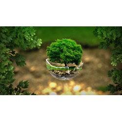 Lãnh đạo Văn phòng Bộ Tài nguyên và Môi trường gồm những ai?