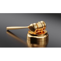Trách nhiệm của Tổ chuyên gia theo Luật đấu thầu mới?