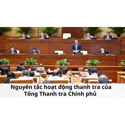 Nguyên tắc hoạt động thanh tra của Tổng Thanh tra Chính phủ