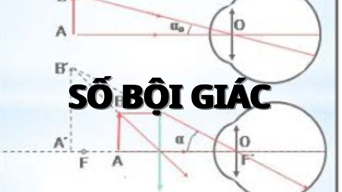 Độ Bội Giác Là Gì? Tìm Hiểu Chi Tiết Về Khái Niệm Quan Trọng Trong Quang Học