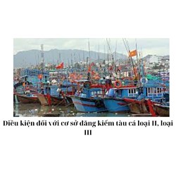 Điều kiện đối với cơ sở đăng kiểm tàu cá loại II, loại III