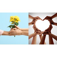 Dàn ý Nghị luận xã hội về tình yêu thương đầy đủ, chi tiết nhất