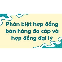 Phân biệt hợp đồng bán hàng đa cấp và hợp đồng đại lý