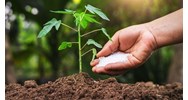 Các mã ngành nghề đăng ký kinh doanh phân bón