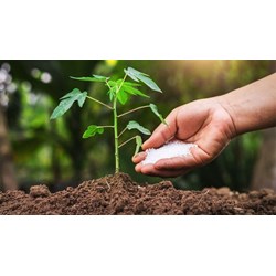 Các mã ngành nghề đăng ký kinh doanh phân bón