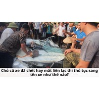 Chủ cũ xe đã chết hay mất liên lạc thì thủ tục sang tên xe như thế nào?