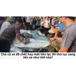Chủ cũ xe đã chết hay mất liên lạc thì thủ tục sang tên xe như thế nào?