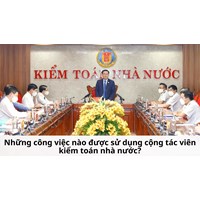 Những công việc nào được sử dụng cộng tác viên kiểm toán nhà nước?