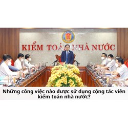 Những công việc nào được sử dụng cộng tác viên kiểm toán nhà nước?