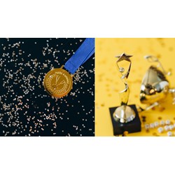 Có bao nhiêu danh hiệu vinh dự nhà nước từ năm 2024?