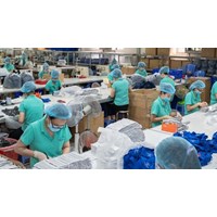 Thủ tục xuất khẩu khẩu trang y tế