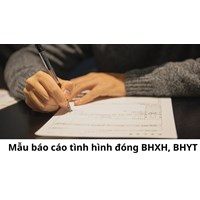 Mẫu báo cáo tình hình đóng BHXH, BHYT mới nhất