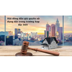 Hội đồng đấu giá QSDĐ trong trường hợp đặc biệt do ai thành lập?