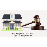 Nội dung hợp đồng thuê đơn vị thực hiện bán đấu giá QSDĐ