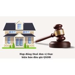 Nội dung hợp đồng thuê đơn vị thực hiện bán đấu giá QSDĐ