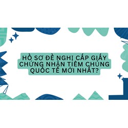 Hồ sơ đề nghị cấp giấy chứng nhận tiêm chủng quốc tế mới nhất?