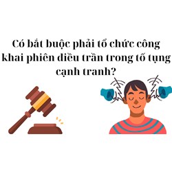 Có bắt buộc phải tổ chức công khai phiên điều trần trong tố tụng cạnh tranh?