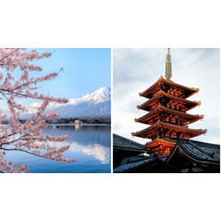 Viết về thành phố Tokyo bằng tiếng Anh kèm bản dịch