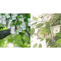 Viết đoạn văn tiếng anh về Tiền không mọc trên cây kèm bản dịch