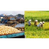Viết về một ngôi làng ở Việt Nam mà bạn muốn đến thăm