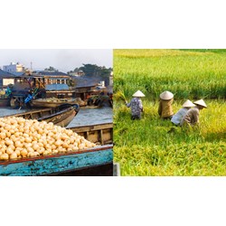 Viết về một ngôi làng ở Việt Nam mà bạn muốn đến thăm