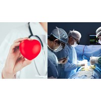 Viết đoạn văn bằng tiếng Anh về nghề bác sĩ  siêu hay kèm bản dịch