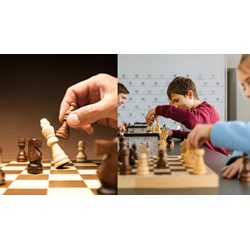 Viết đoạn văn tiếng Anh về sở thích chơi cờ vua kèm bản dịch