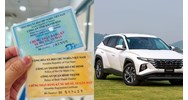 Sử dụng cà vẹt ô tô giả bị phạt bao nhiêu?